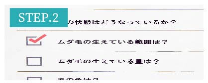 おでこ・眉間脱毛Step2