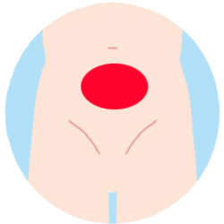 下腹部