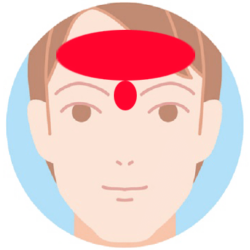 おでこ・眉間