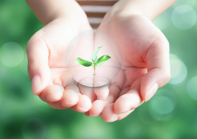 脱毛前後の注意ポイントを守って脱毛しましょう